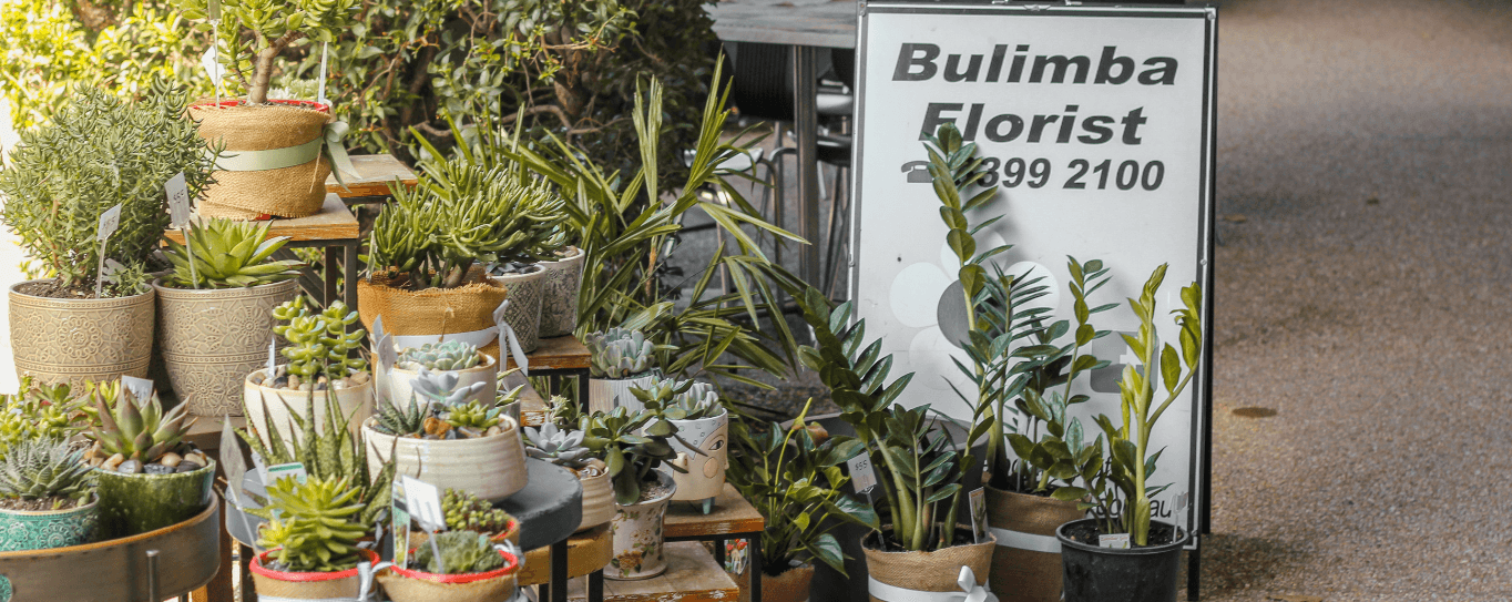 Bulimba Local Guide