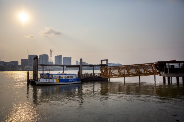 Domain_Bulimba_Generics-5_d1nwyb