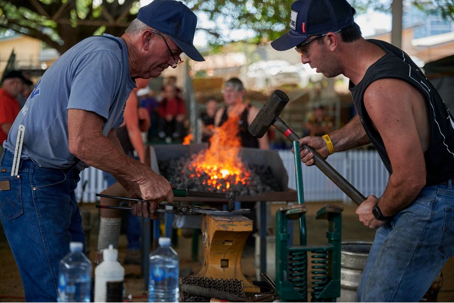 Ekka Competitions