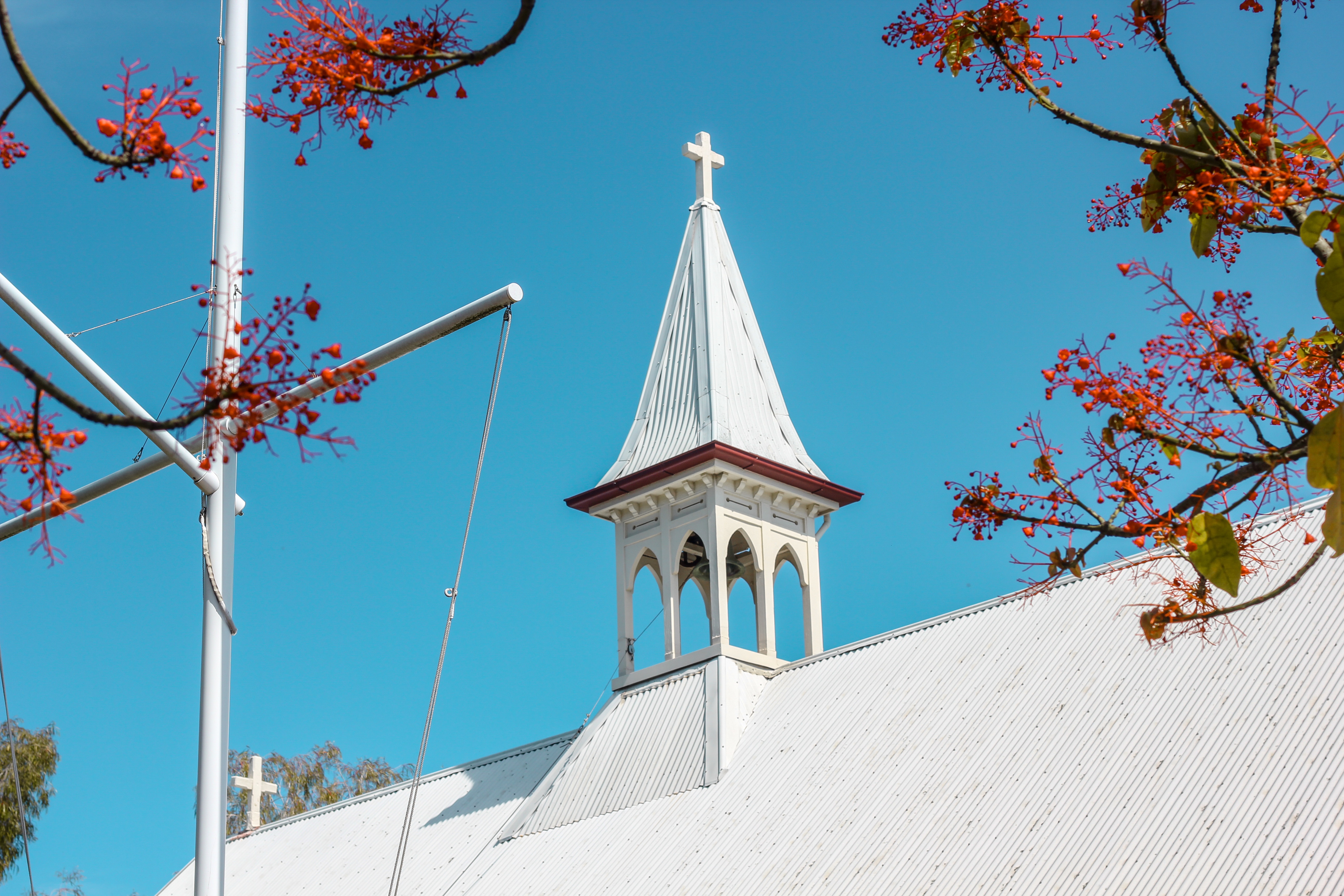 Bulimba Local Guide
