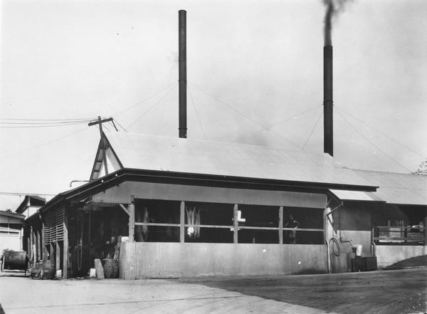 Oxley J Hutton curing works 1925