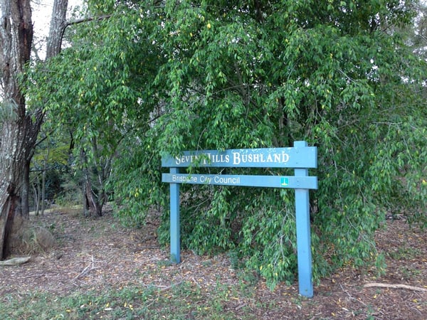 img139521