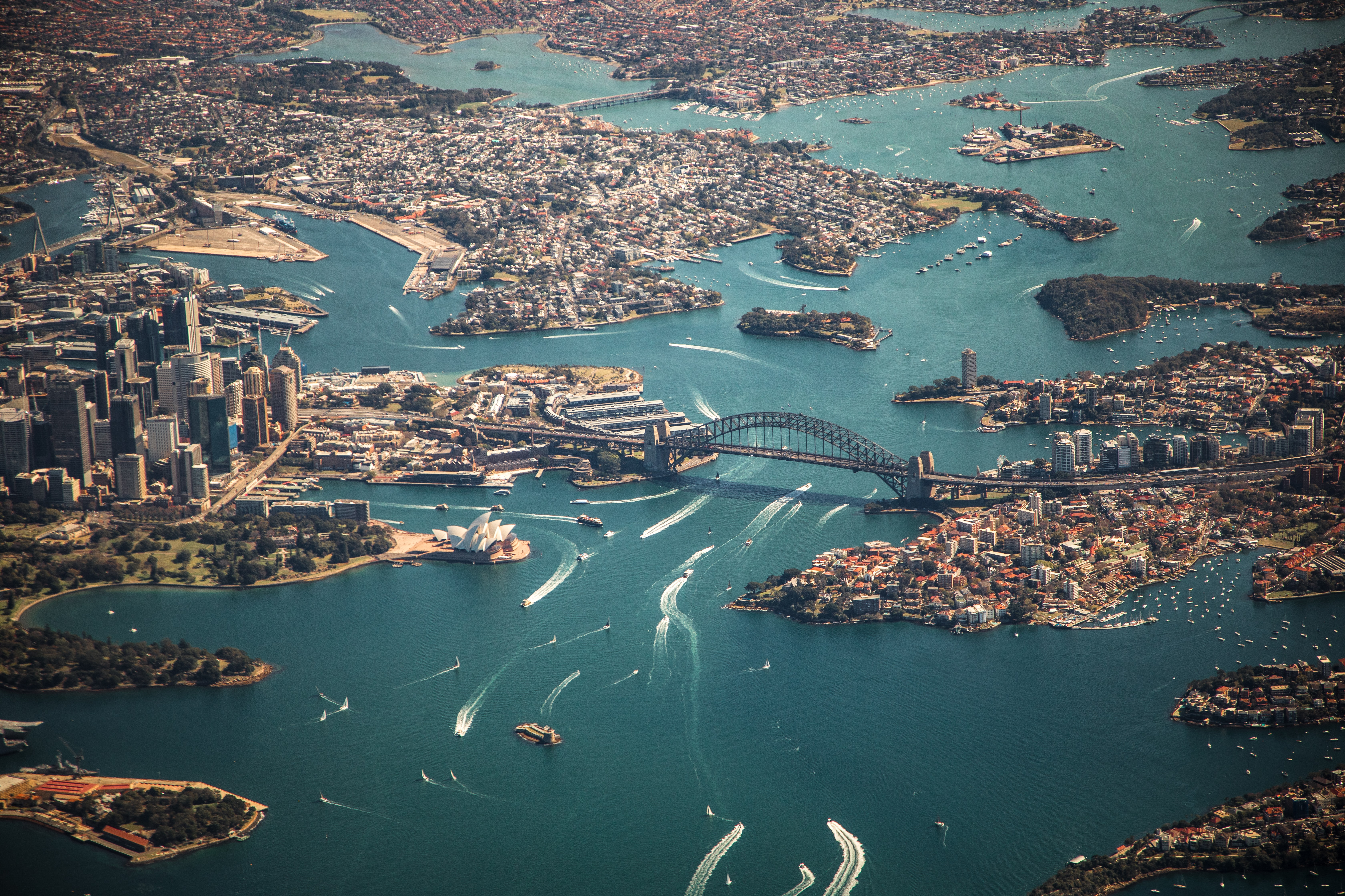 Sydney's bustling harbour