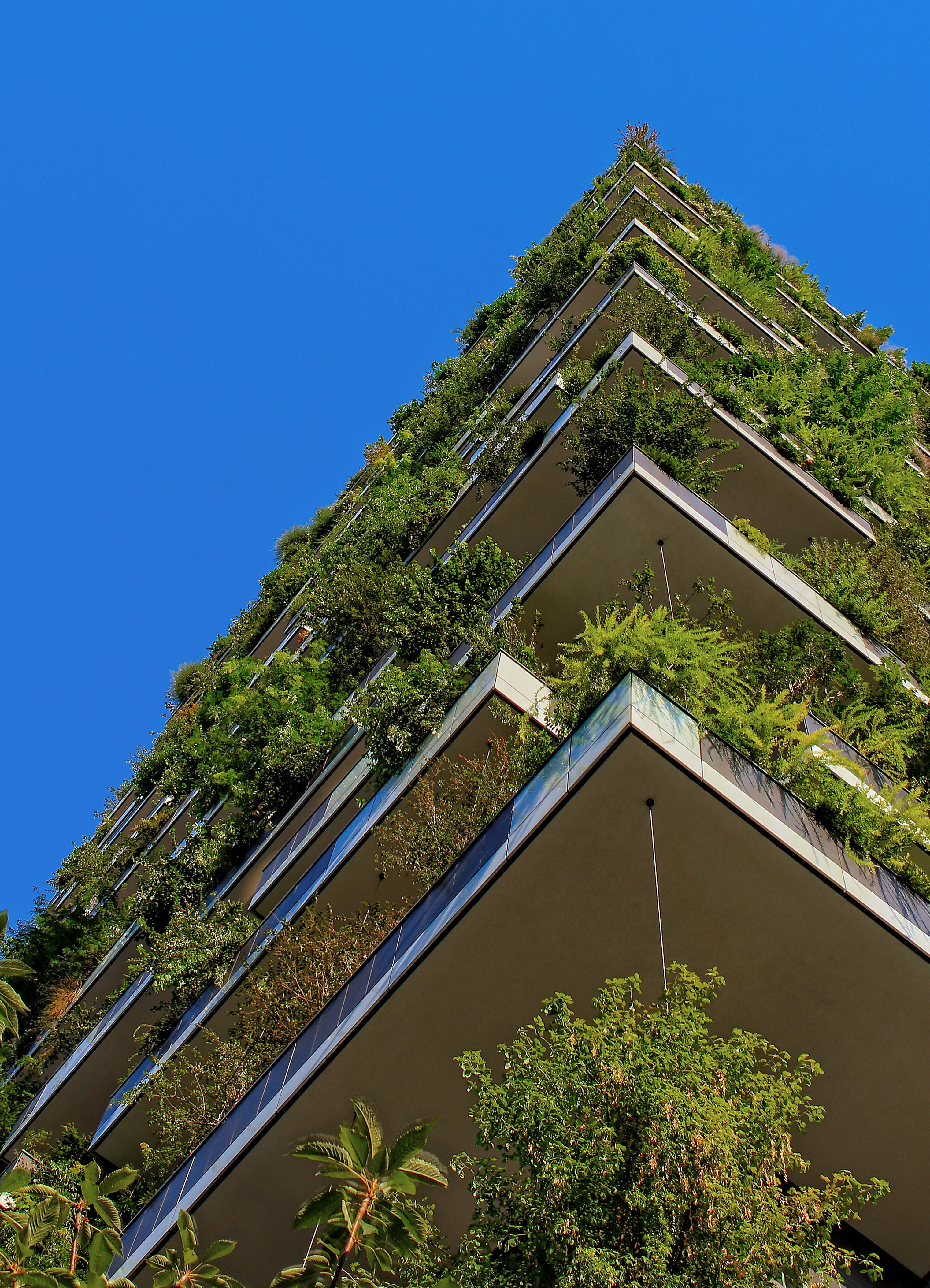 high rise building with green space