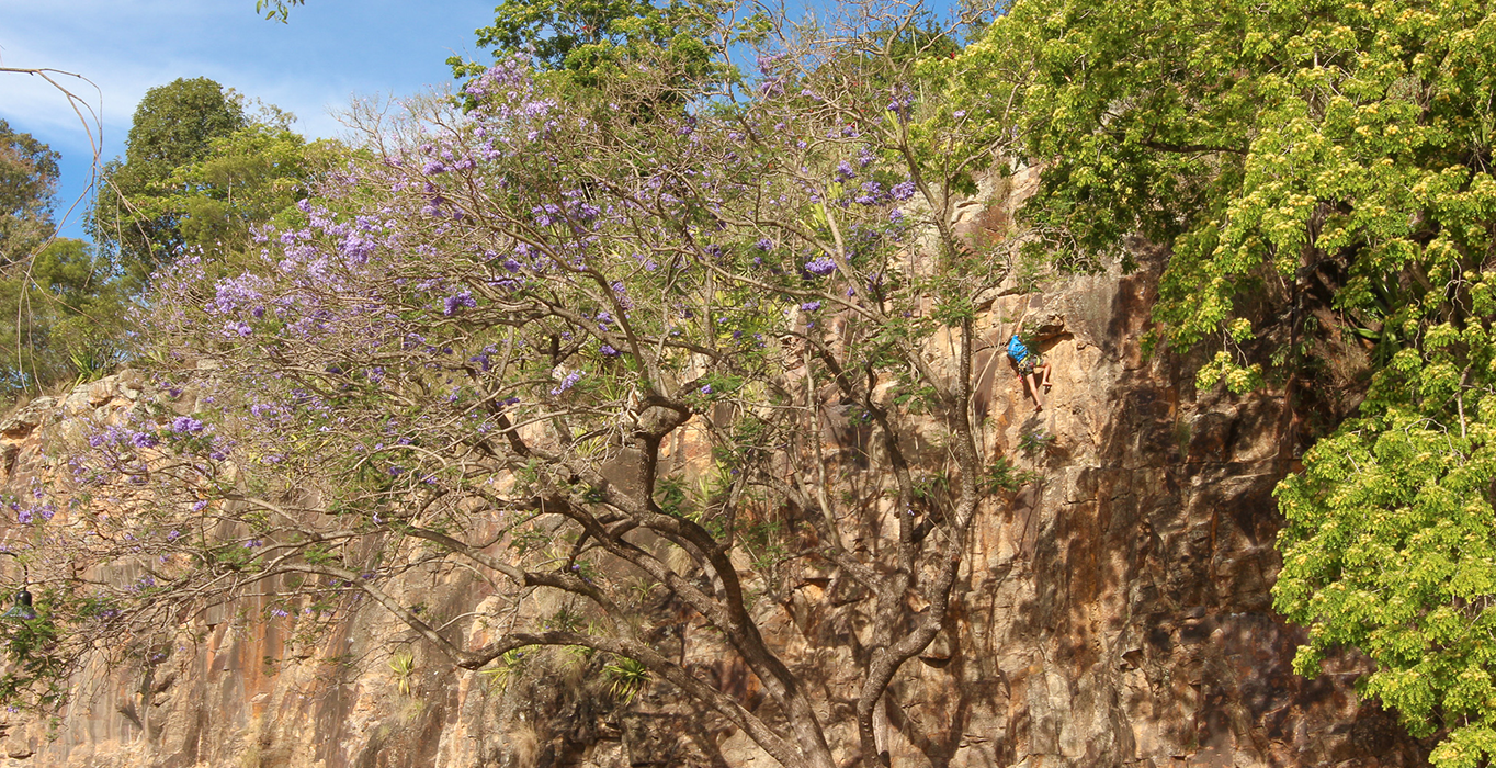 rock climbing at Kangaroo Point Cliffs