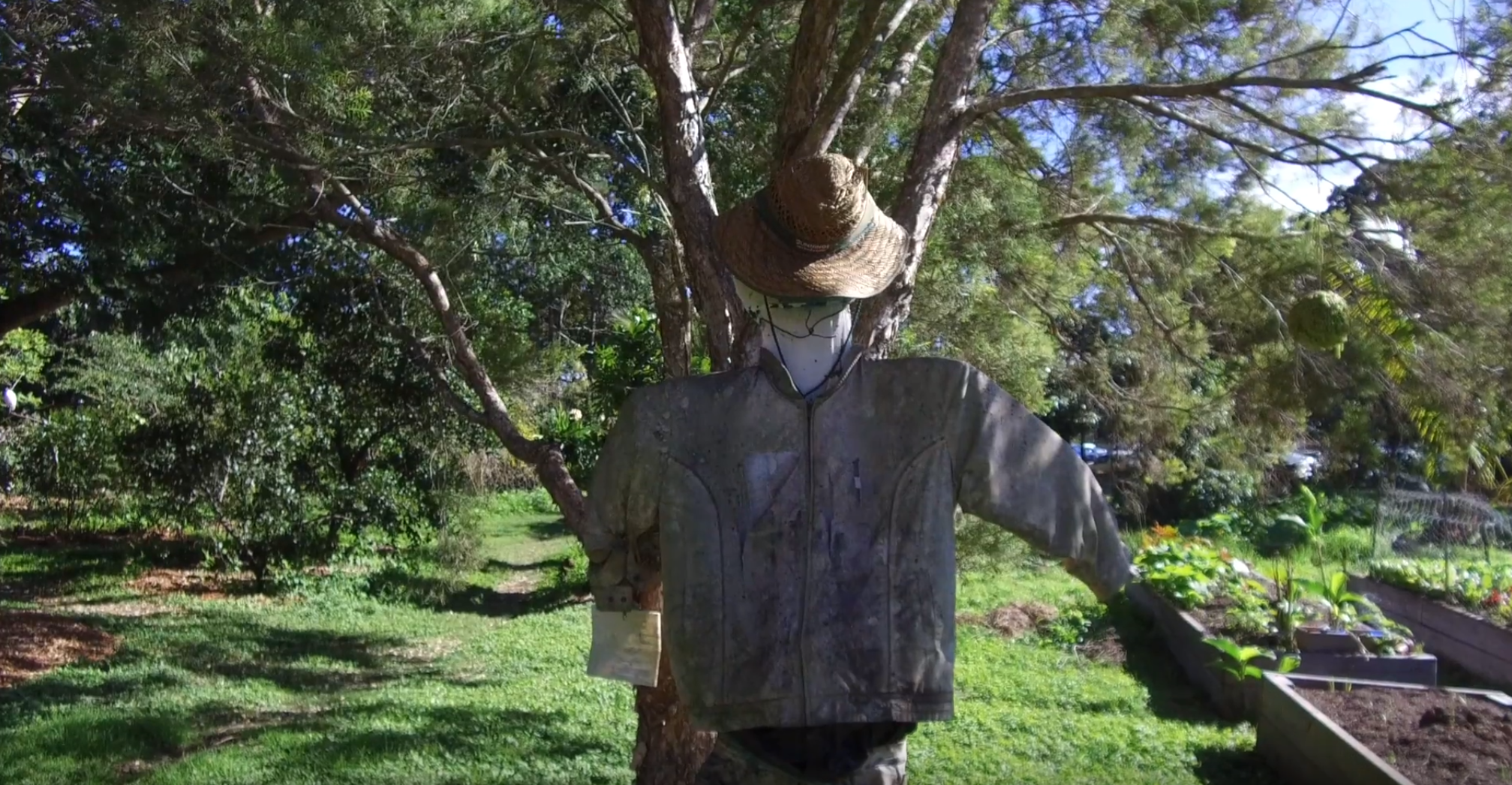 scarecrow