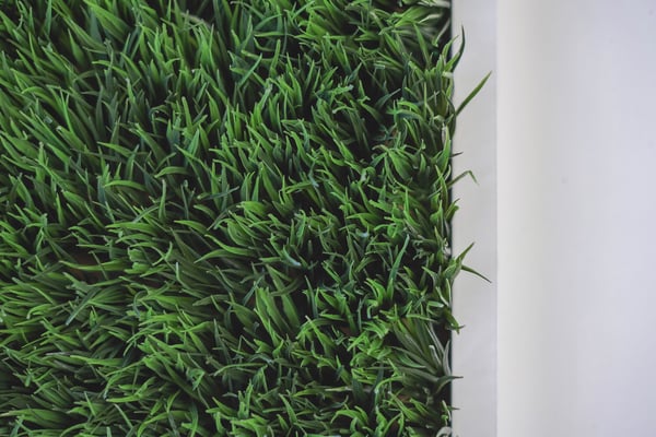 scott-webb-1355909-unsplash-3