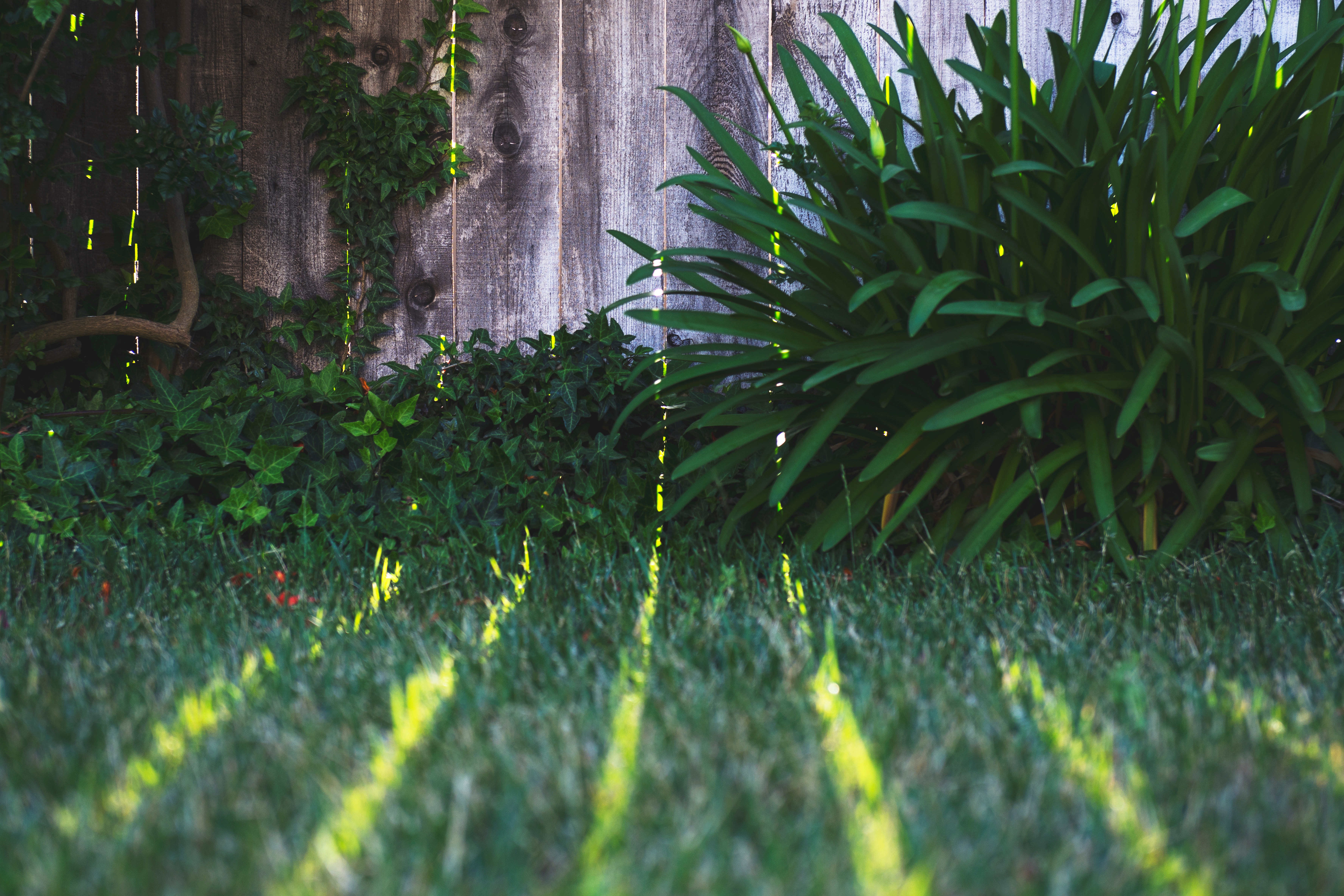 tim-mossholder-282504-unsplash