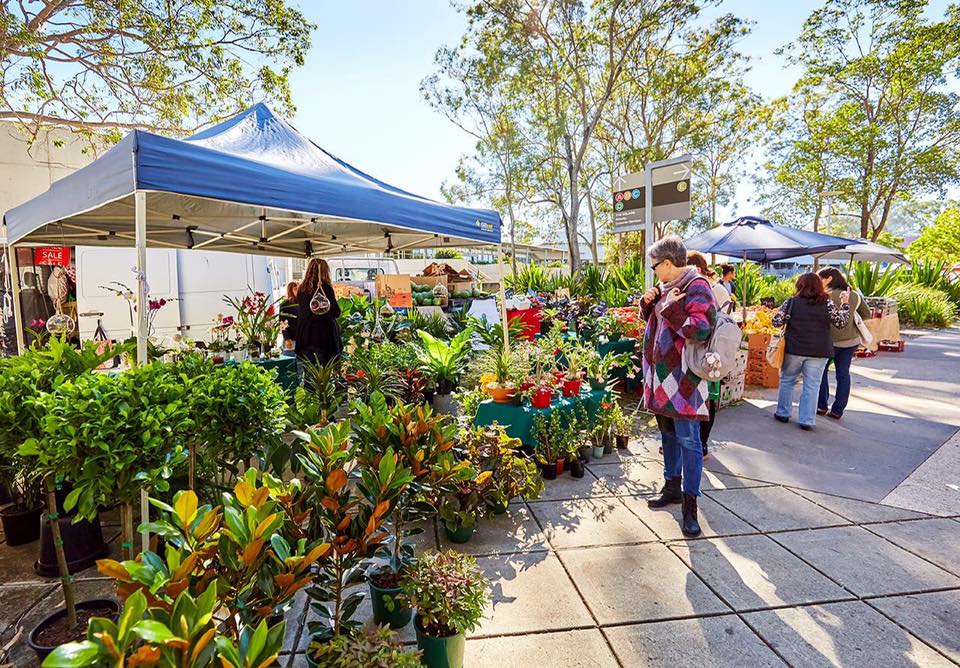 Source: Carseldine Farmers & Artisan Markets